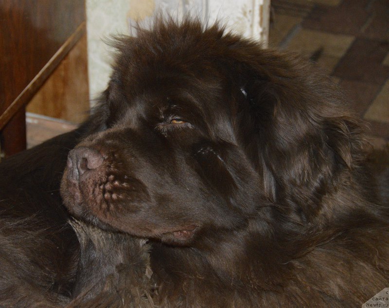 Фотография № 177391