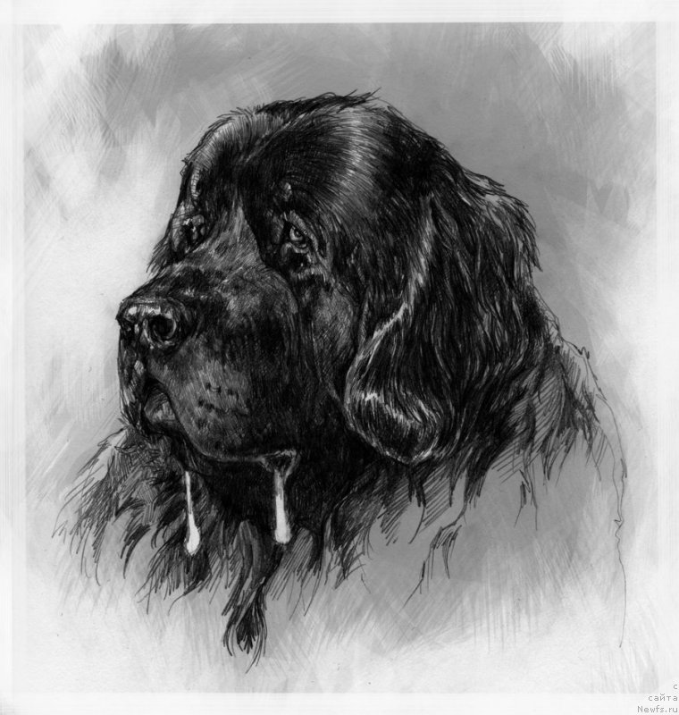 Фотография № 177410