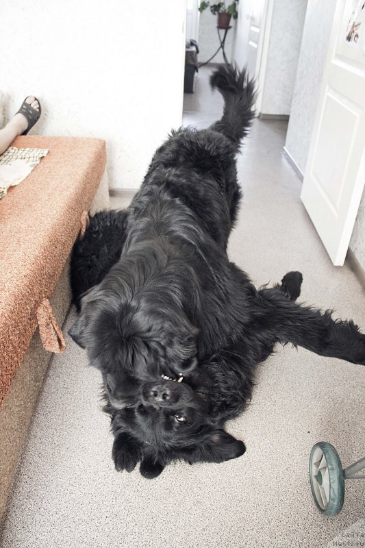 Фотография № 177417