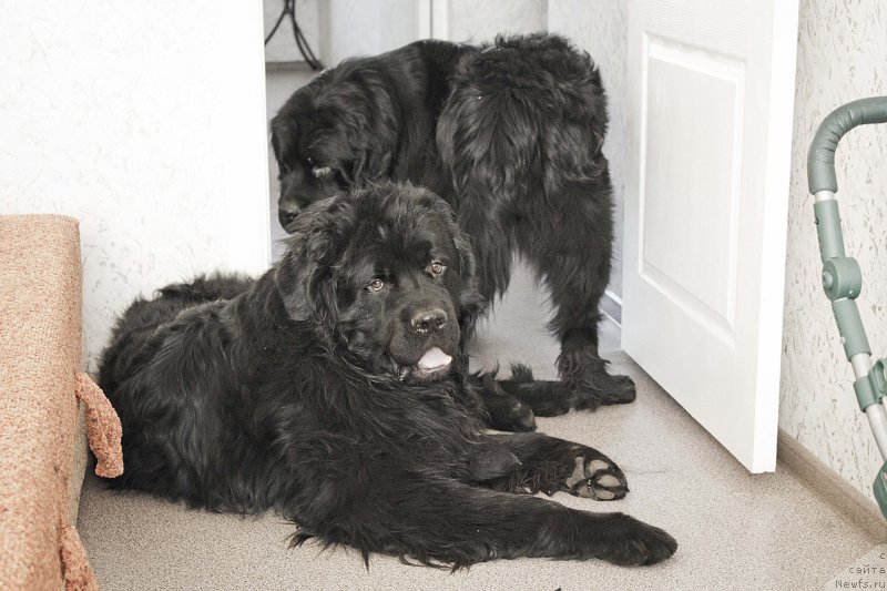 Фотография № 177419