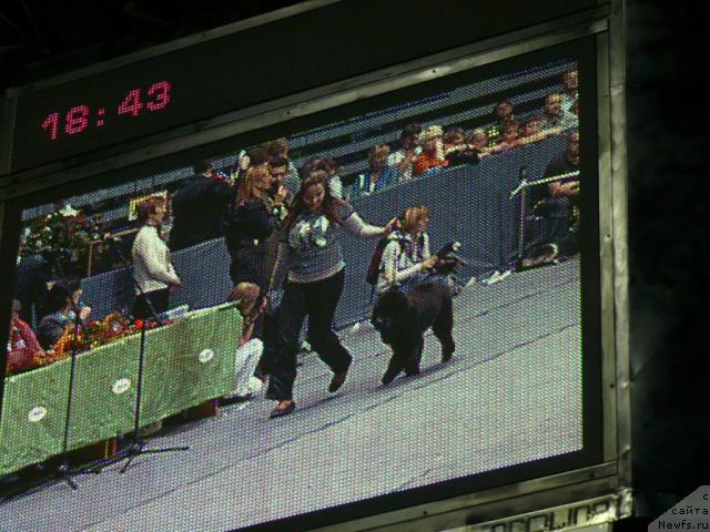 Фотография № 17742