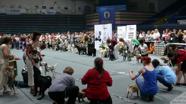 Фотография № 17743