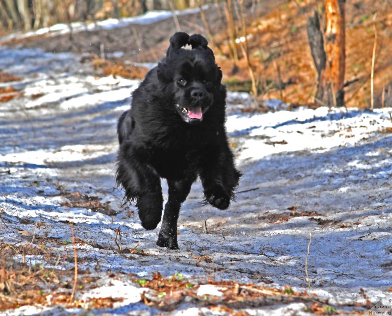 Фотография № 177431