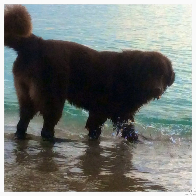 Фотография № 177432