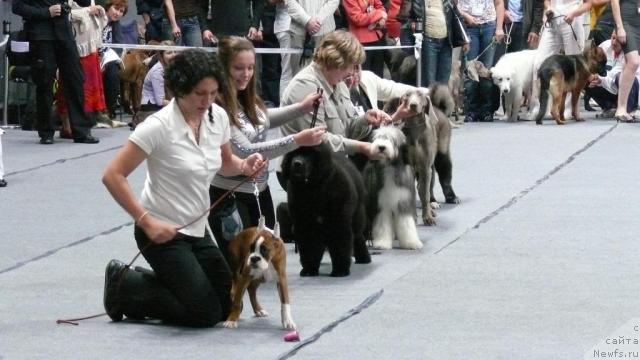 Фотография № 17744