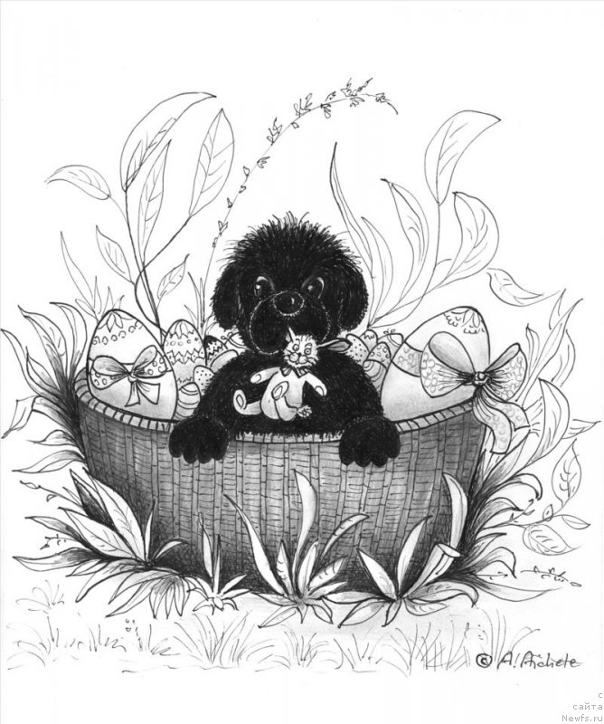 Фотография № 177452