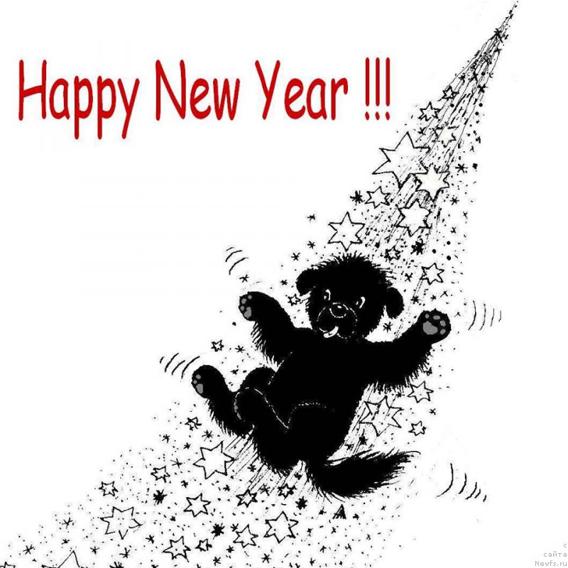 Фотография № 177455