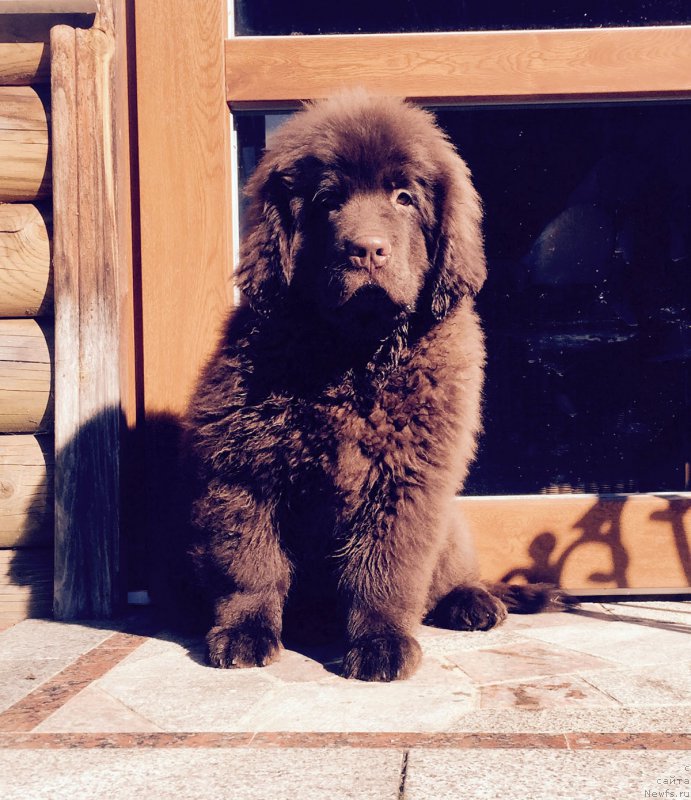 Фотография № 177461