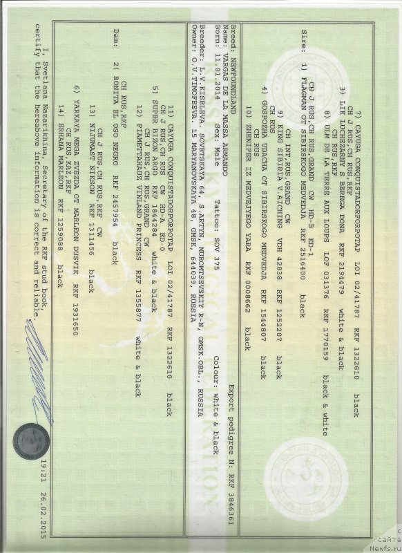 Фото: ньюфаундленд Варгас Де Ла Масса Армандо (Vargas de la Massa Armando)