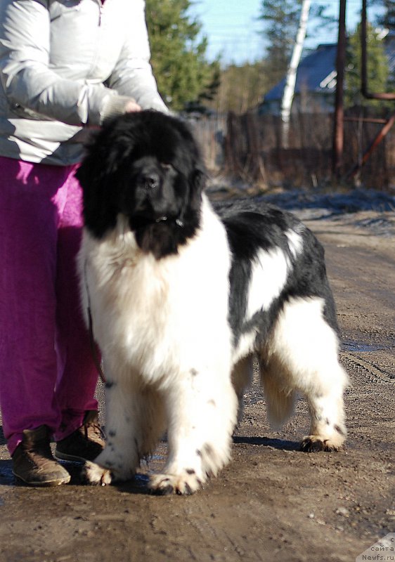 Фотография № 177499