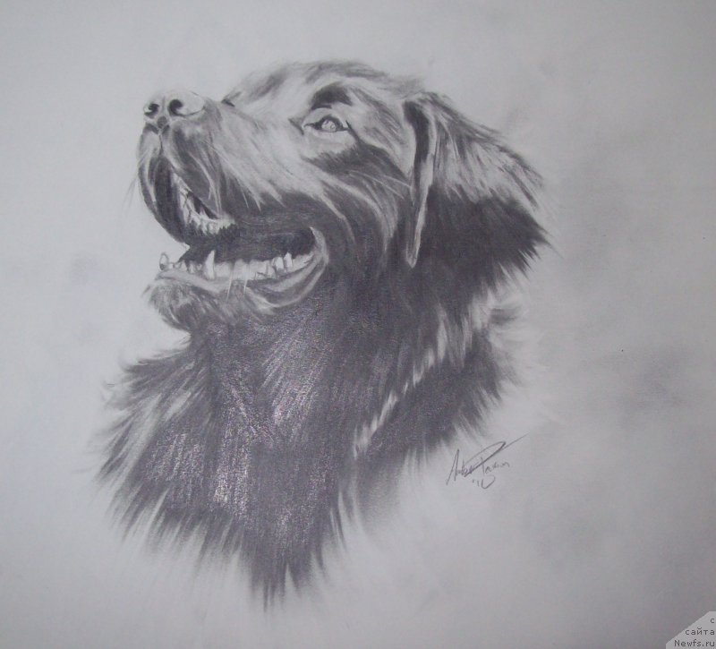 Фотография № 177504