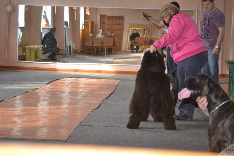 Фотография № 177517