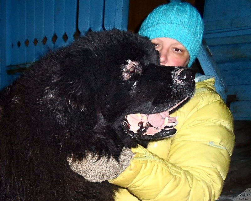 Фотография № 177519