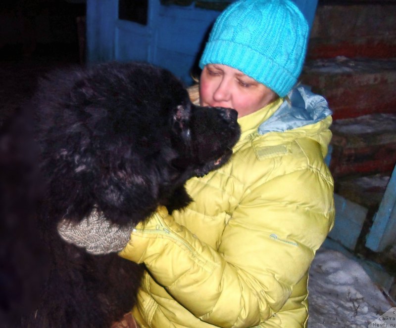 Фотография № 177520