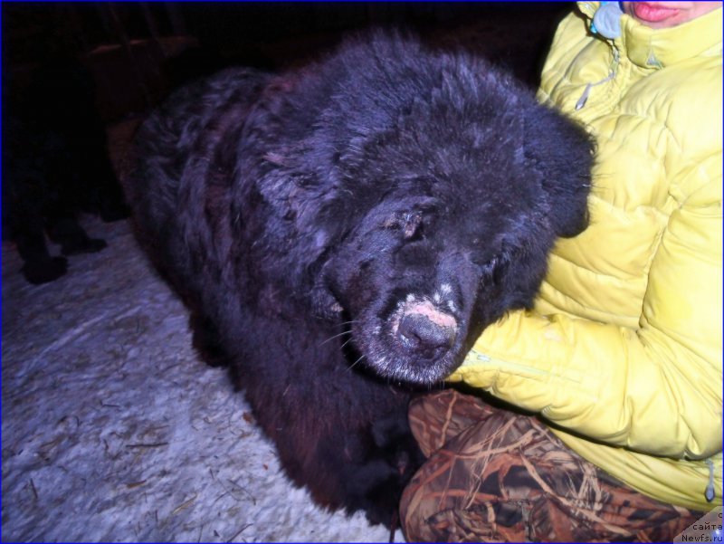 Фотография № 177521