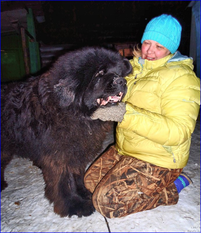 Фотография № 177522