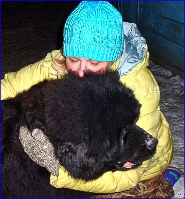 Фотография № 177523