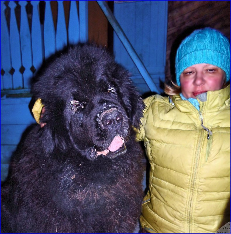 Фотография № 177524