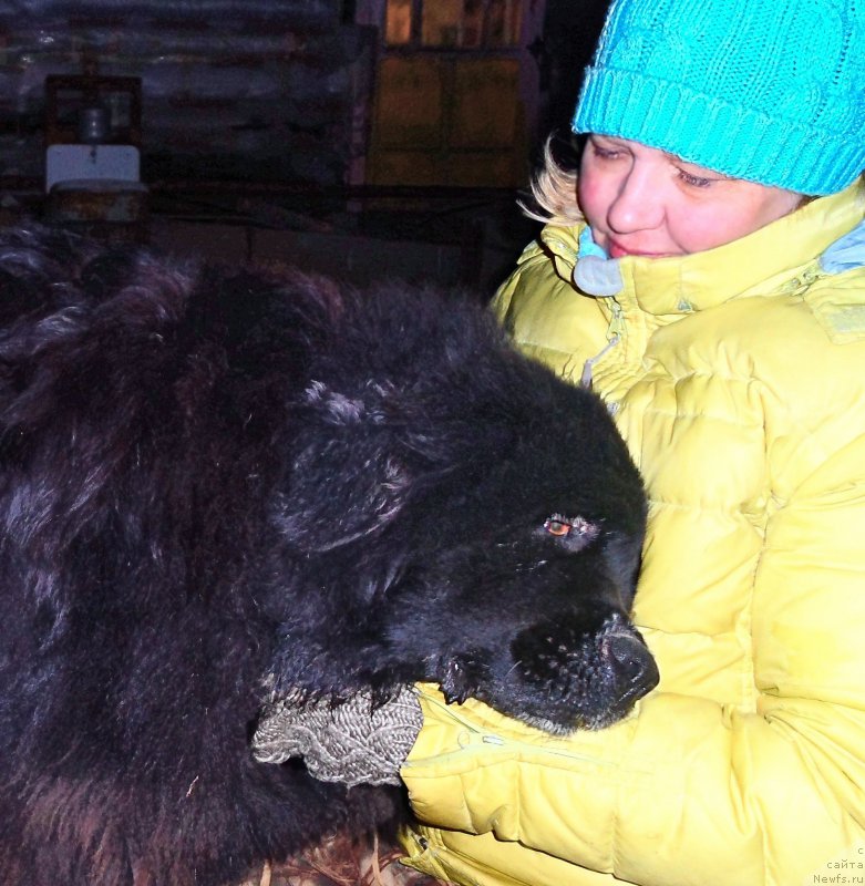 Фотография № 177525