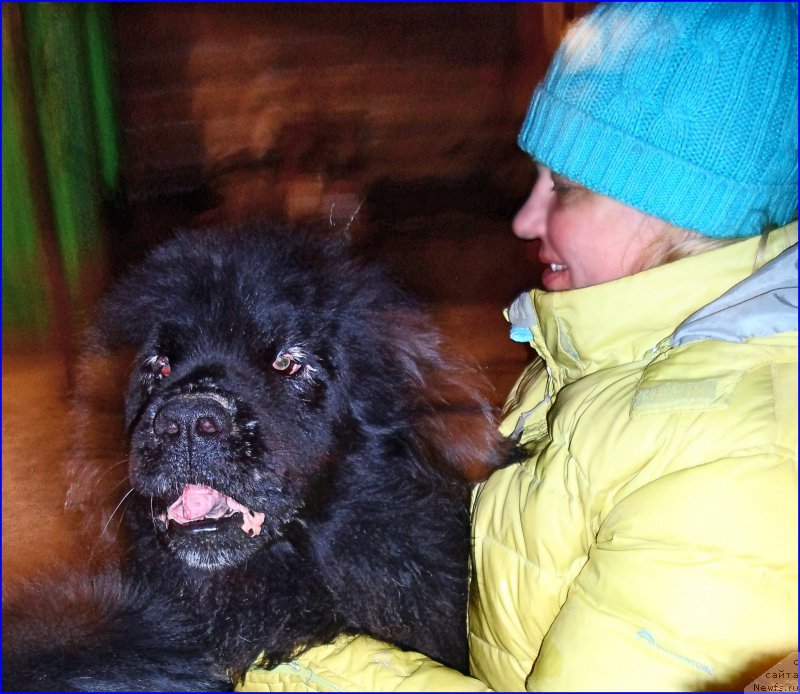 Фотография № 177526