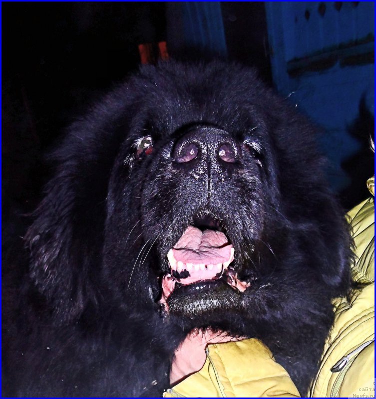 Фотография № 177528