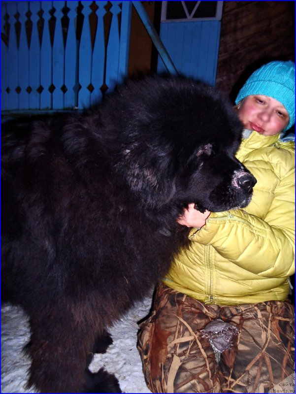 Фотография № 177529