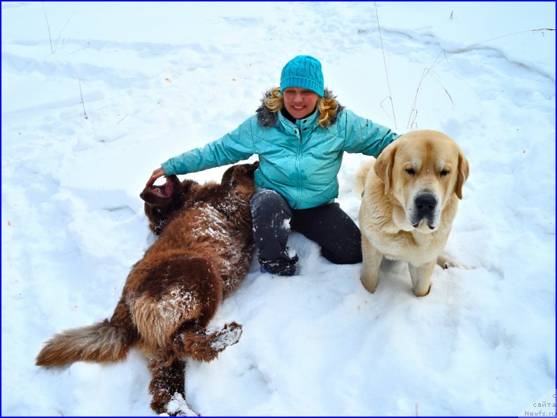 Фотография № 177537