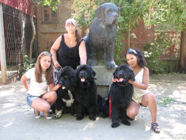 Фотография № 17754