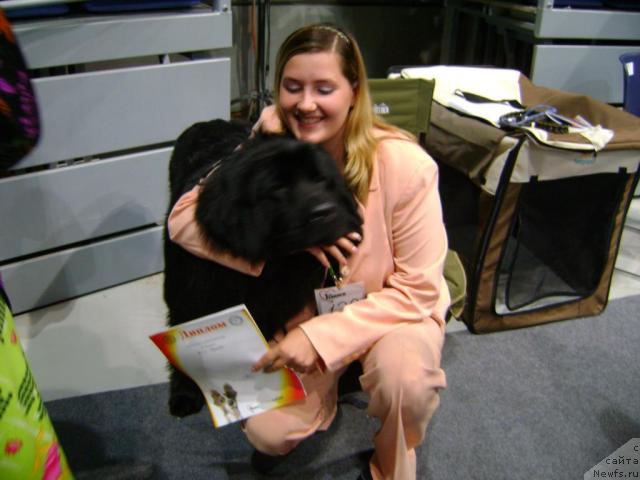 Фото: ньюфаундленд Мэджикал Оушен Геката