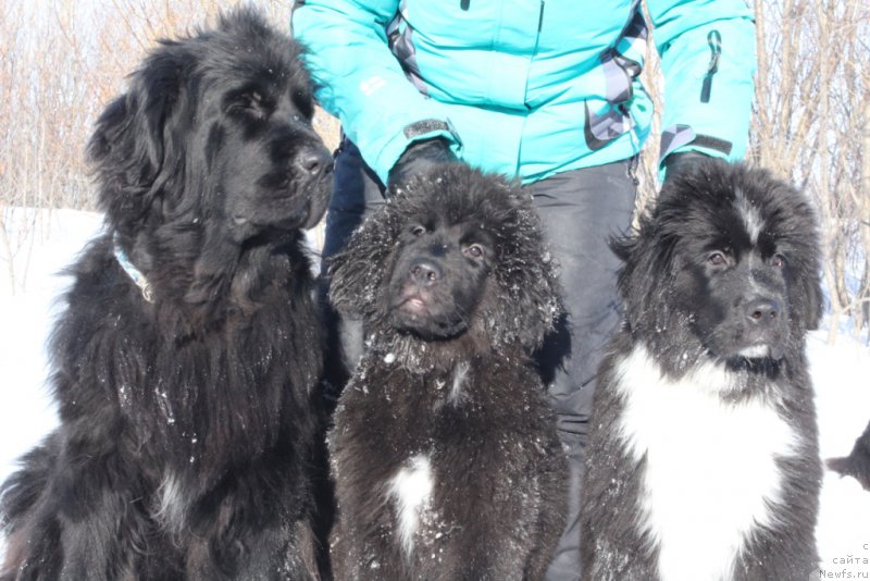 Фотография № 177555