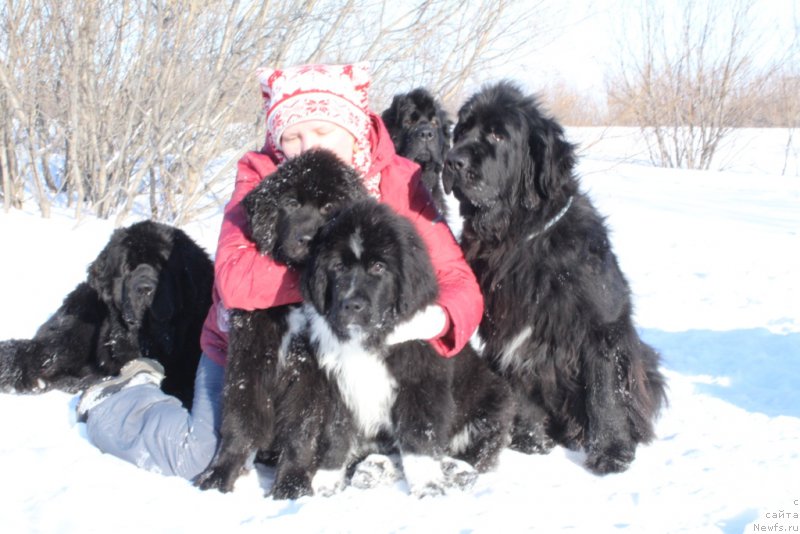 Фотография № 177557