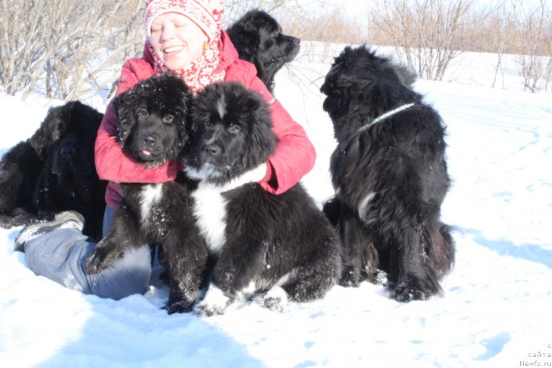 Фотография № 177558