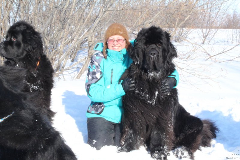 Фотография № 177559