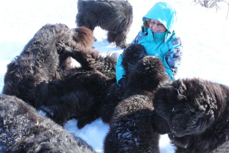 Фотография № 177560