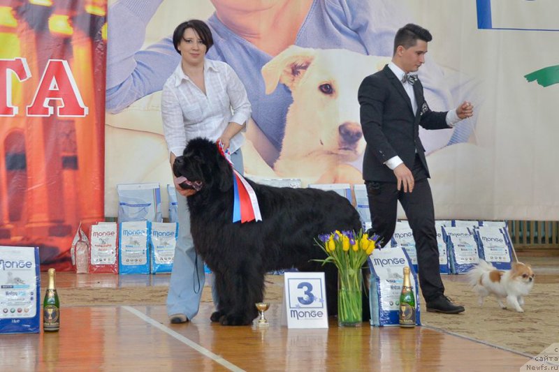 Фотография № 177578