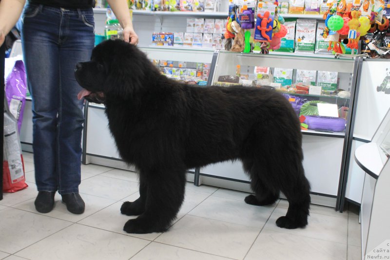 Фотография № 177581