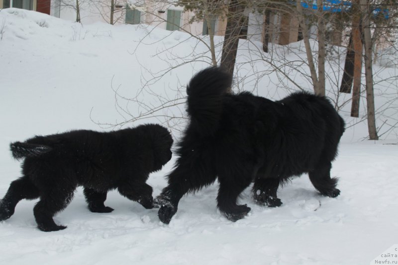 Фото: Омар и Фил