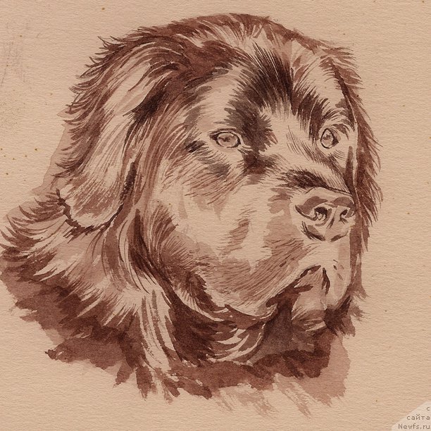 Фотография № 177600