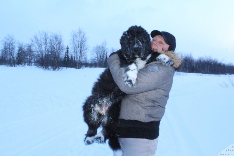 Фотография № 177617