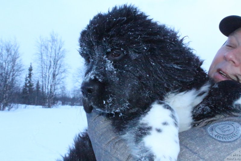 Фотография № 177620