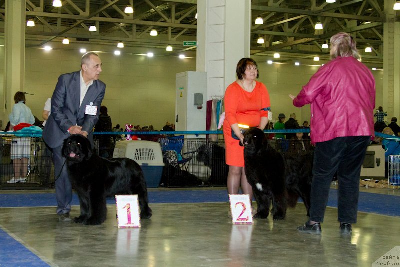 Фотография № 177633