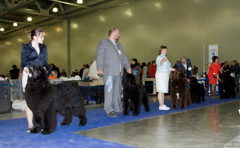 Фотография № 177634