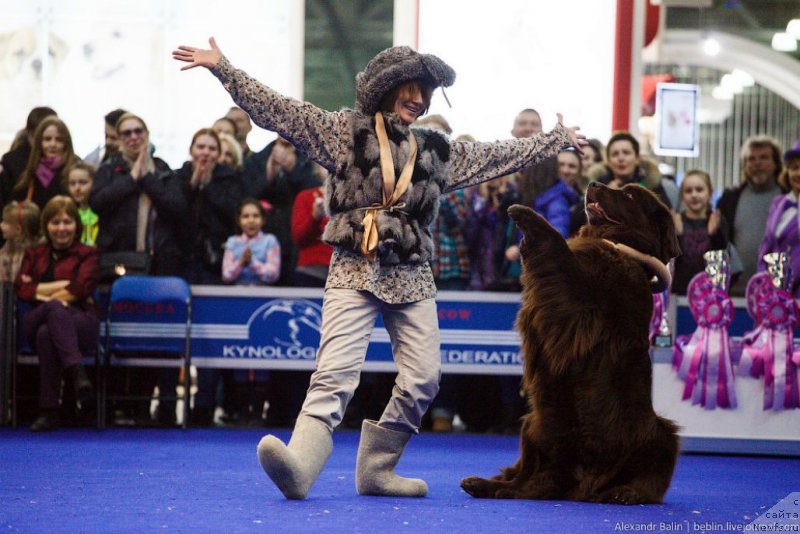 Фотография № 177638