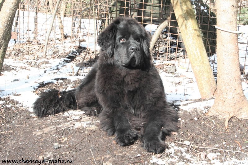 Фотография № 177645