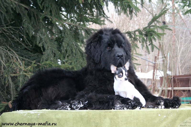 Фотография № 177648