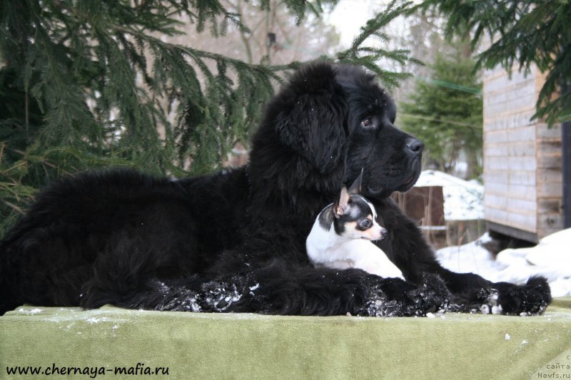 Фотография № 177649