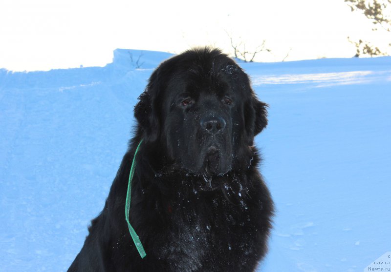 Фотография № 177652