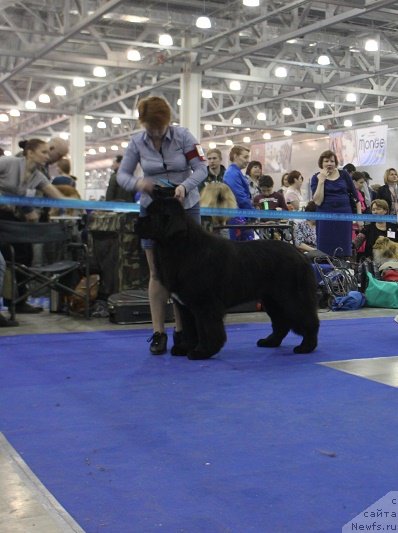 Фотография № 177654