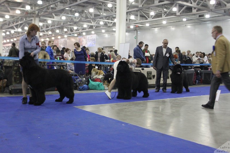 Фотография № 177655