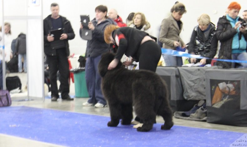 Фотография № 177656